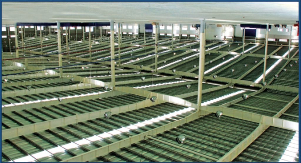 Bonfiglioli Factory