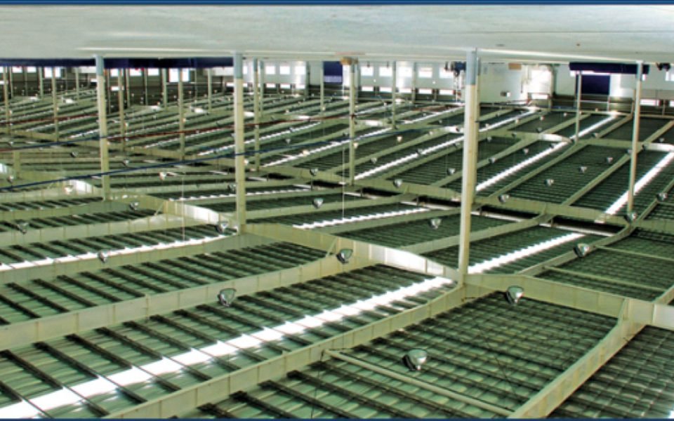 Bonfiglioli Factory