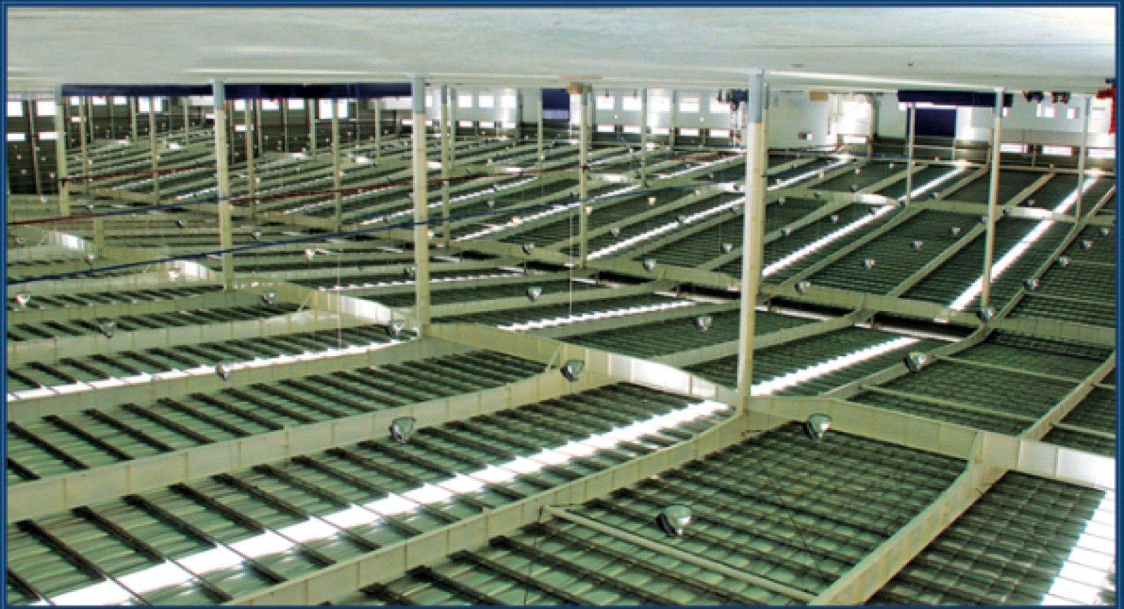 Bonfiglioli Factory